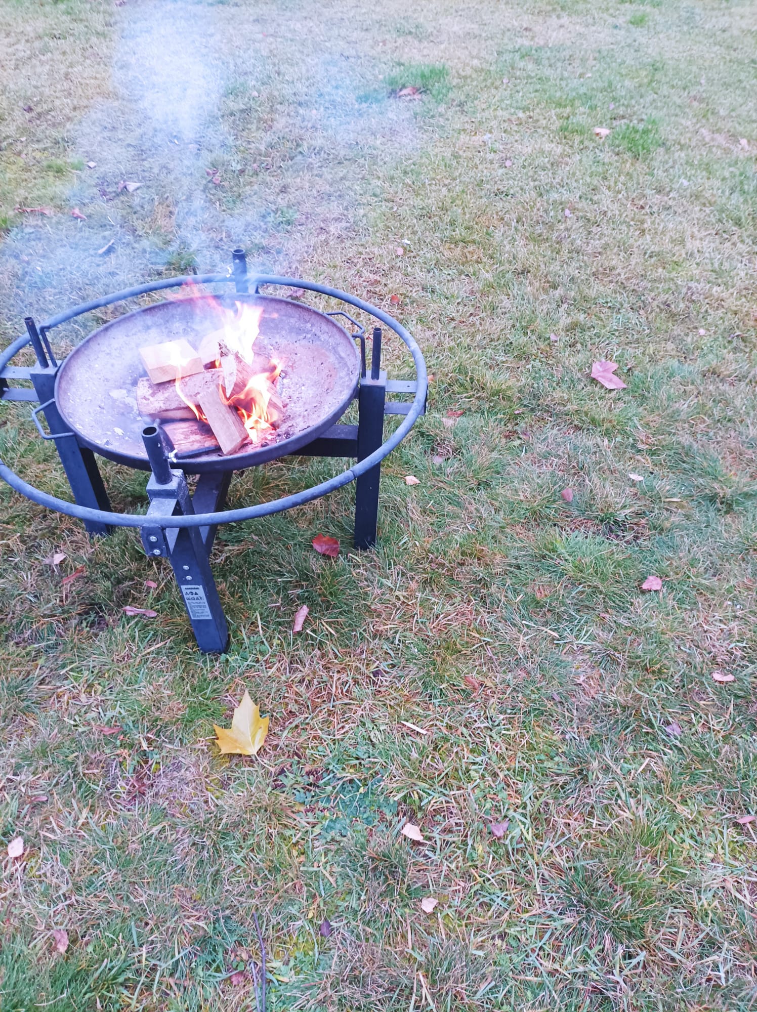 IMG-20221204-WA0007